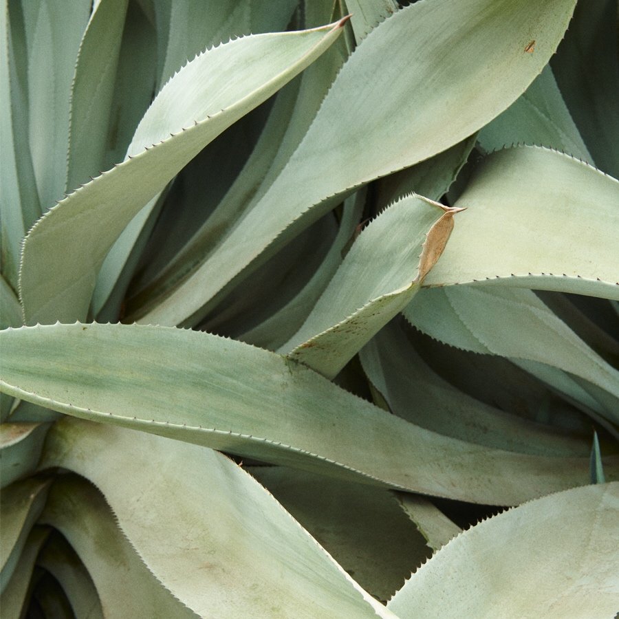 ownthesystem's tweet image. You. Only Better // ASYSTEM. Coming Fall 2019⁠
⁠
#asystem #ownthesystem #betterment #engineeredperformance #comingsoon