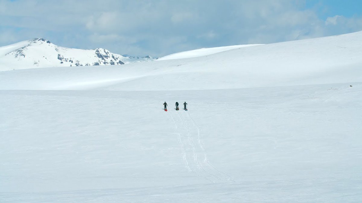 House of Beyond tweet media