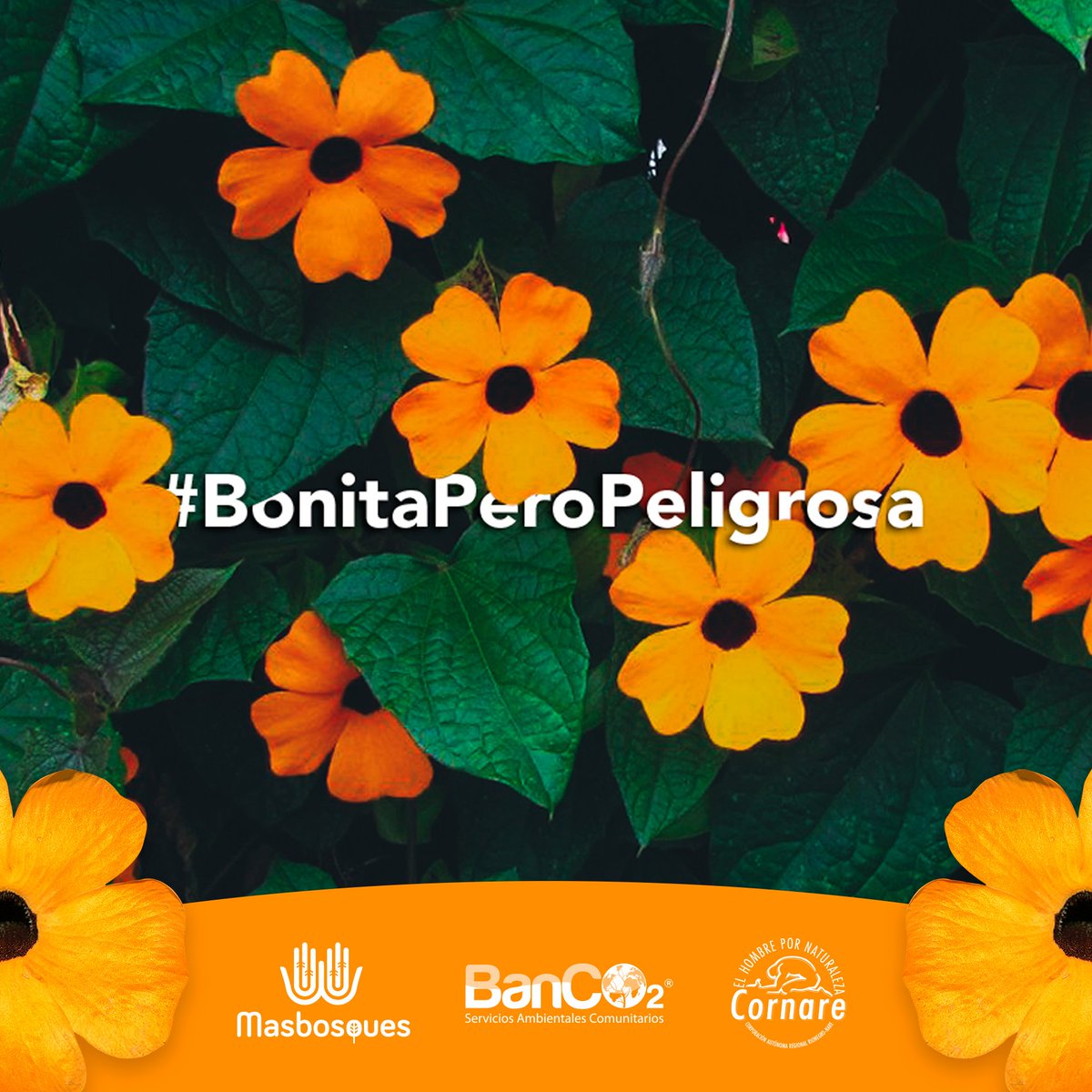 BancO2® on Twitter: BancO2® on Twitter: