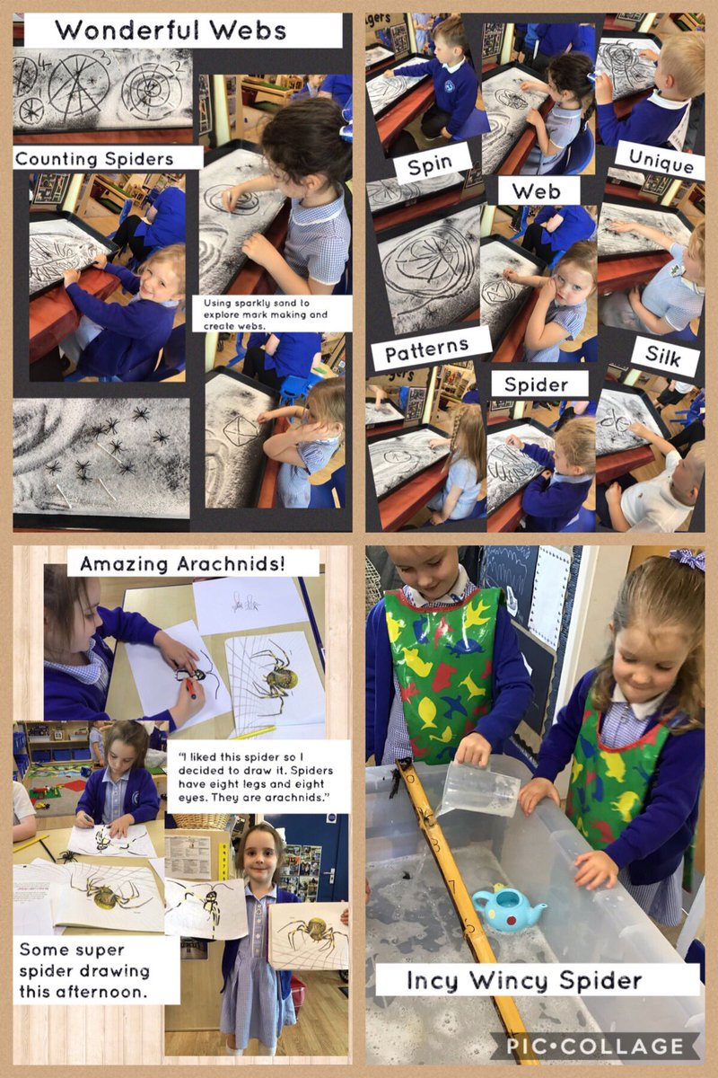 halewoodcofe's tweet photo. It’s been a busy week in EYFS as the children explored their interest in minibeasts. 🕷🐌🐞🕸🐜  #understandingoftheworld #marvellousminibeasts #creativecritters #lovetolearn #happychildren @LDSTEducation https://t.co/PUXY2fBGW6
