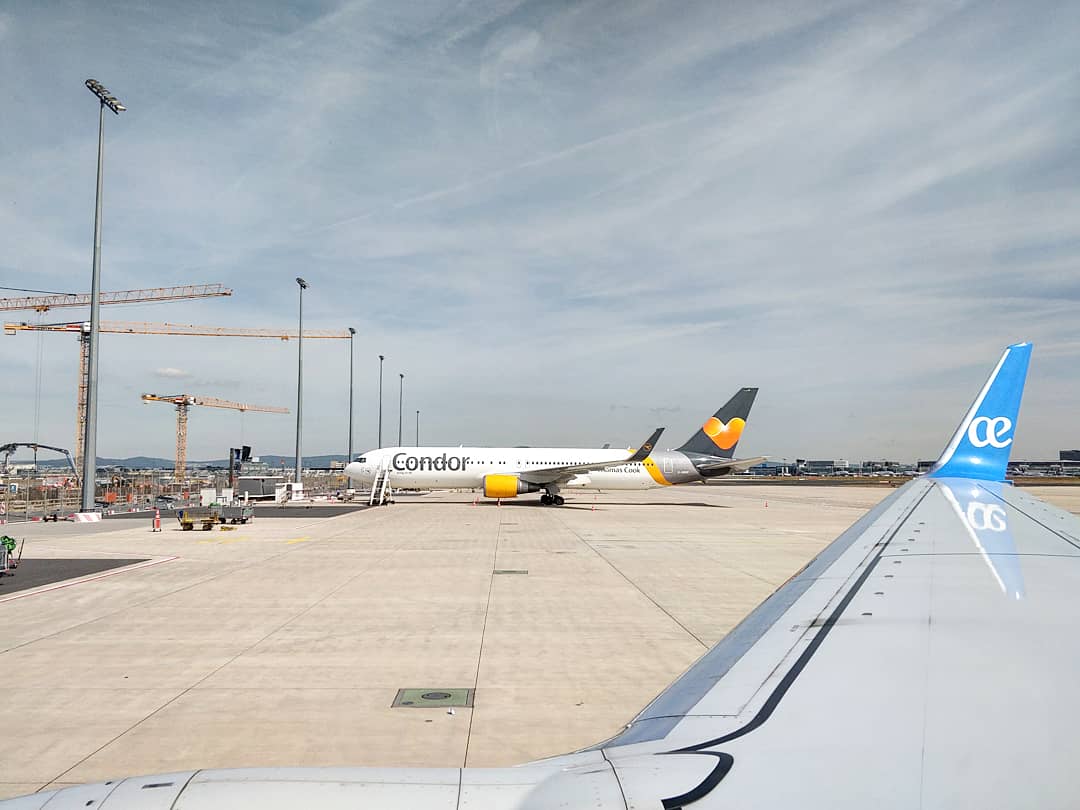 tamasbocsi's tweet photo. Last time at Frankfurt a bit of planespotting ... I love flying ✈️✈️✈️
#frankfurtairport #frankfurt #planespotting #alitalia #delta #deltaairlines #condor #fra #iloveflying #ilovetravel #planes #aireuropa #aireuropaexpress #co2offset #co2compensation #atmosfair https://t.co/kLWTiojJOQ
