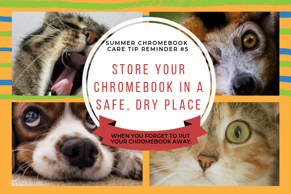 enumclawtech's tweet image. 