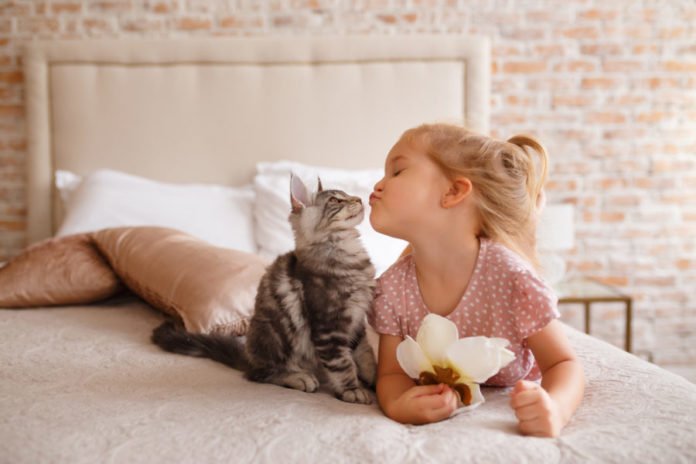 HumaneSctyBayCo's tweet photo. Please be a hero to the animals at your local animal shelter! We are currently looking for donations to support our operations. The shelter currently has 83 animals, 58 cats and 25 dogs. Please take a quick moment to donate! https://t.co/IeKeIb4DCV https://t.co/mM0zoeHwfW