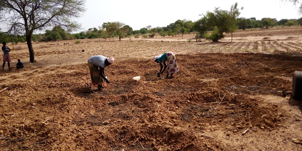 HAlainsawadogo's tweet photo. Une installation lente de la campagne agricole 2019-2020 dans la région du Nord (Burkina Faso). Jusqu'à la fin de la première semaine de juillet la saison n'est toujours pas bien installée. #agricultura #agriculteurs #Monde #BurkinaFaso #lwili https://t.co/EjTSlhO3PC