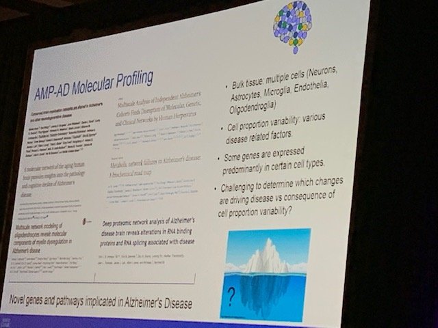 DrNErtekinTaner's tweet photo. Dr. Mariet Allen presenting at NIA-AA ‘Enabling Precision Medicine for Alzheimer’s Disease Through Open Science Symposium’ #NETanerLab #PrecisionMedicine, #AlzheimersDisease #AAIC #AAIC19 https://t.co/j7iURhPALo