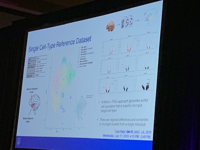 Dr. Mariet Allen presenting at NIA-AA ‘Enabling Precision Medicine for Alzheimer’s Disease Through Open Science Symposium’ #NETanerLab #PrecisionMedicine, #AlzheimersDisease #AAIC #AAIC19