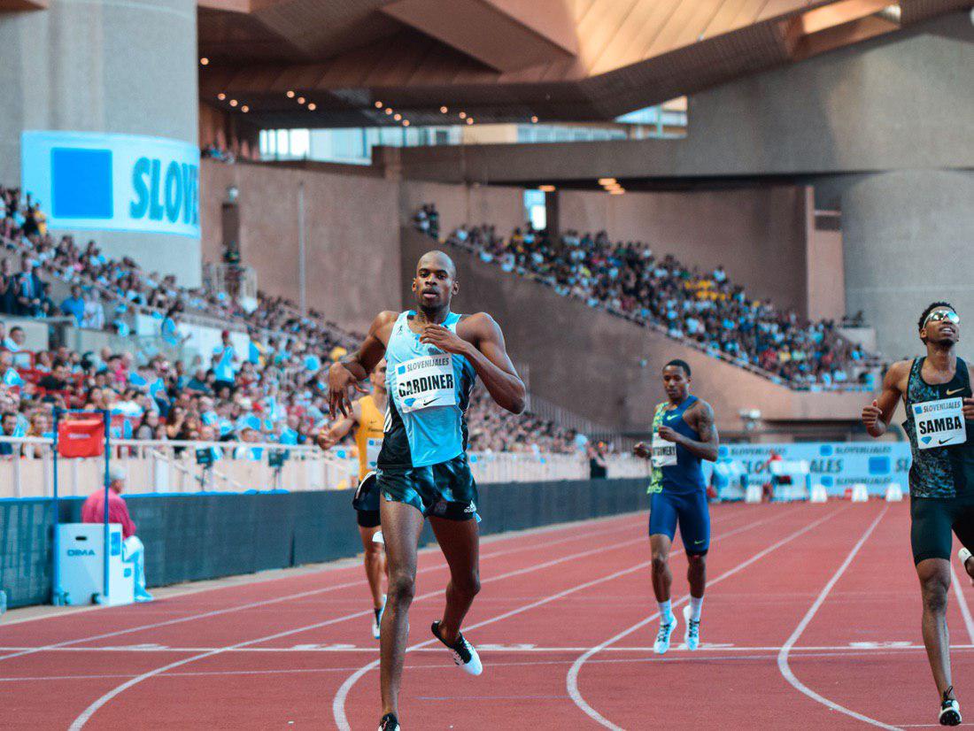 Bram Schellekens Bramschel15 Twitter Quality posts are welcome, see rules below. bram schellekens bramschel15 twitter