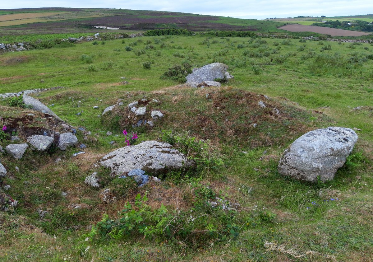Tredinney Cairn, just below Chapel Carn Brea on Bartinney Downs. A kerbed cairn/barrow excavated by Borlase (the younger) in 1868 who discovered an urn filled with bones & flint. I've only recently learned about this one. Just out the back of my house. #PrehistoryOfPenwith