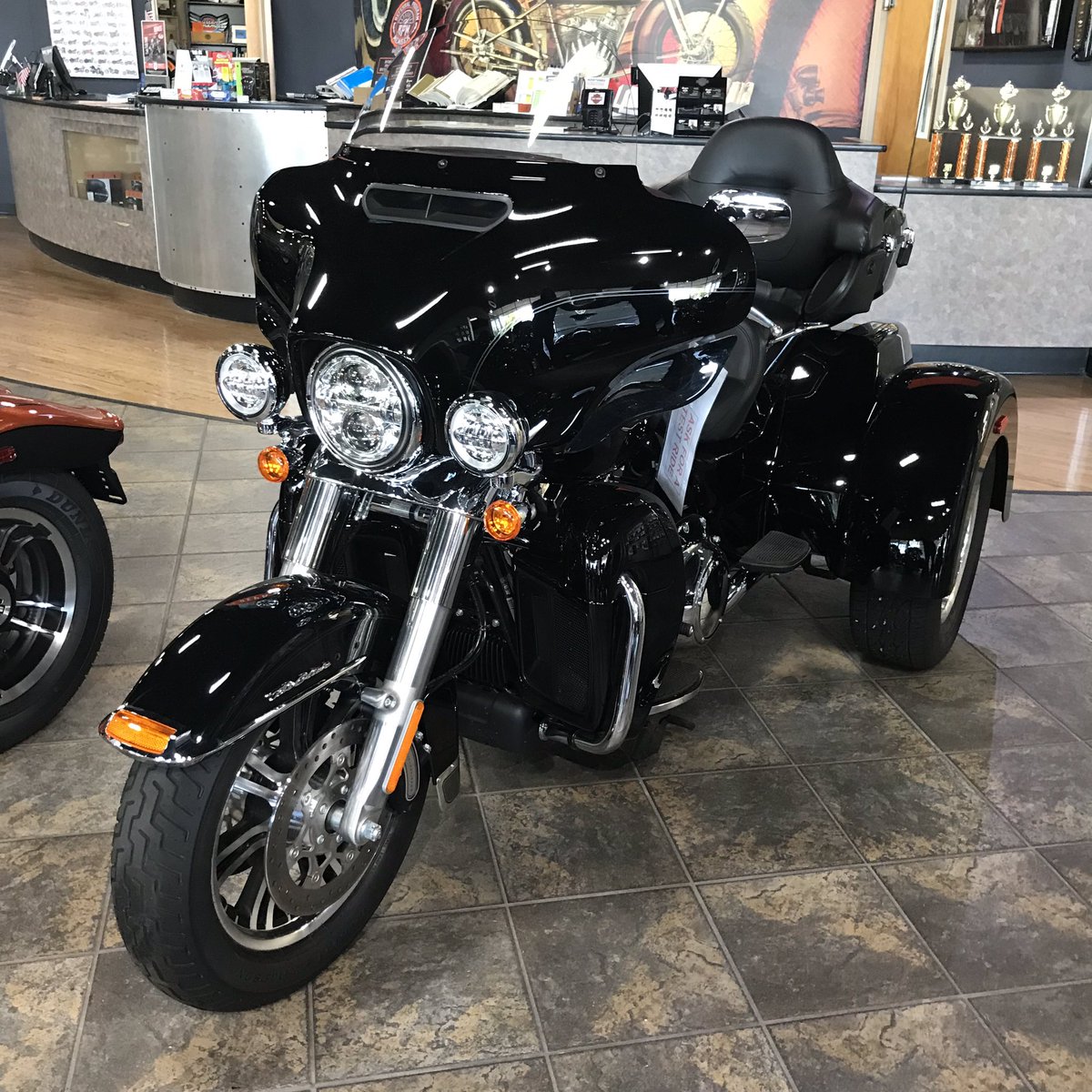 BumpusH-D tweet media