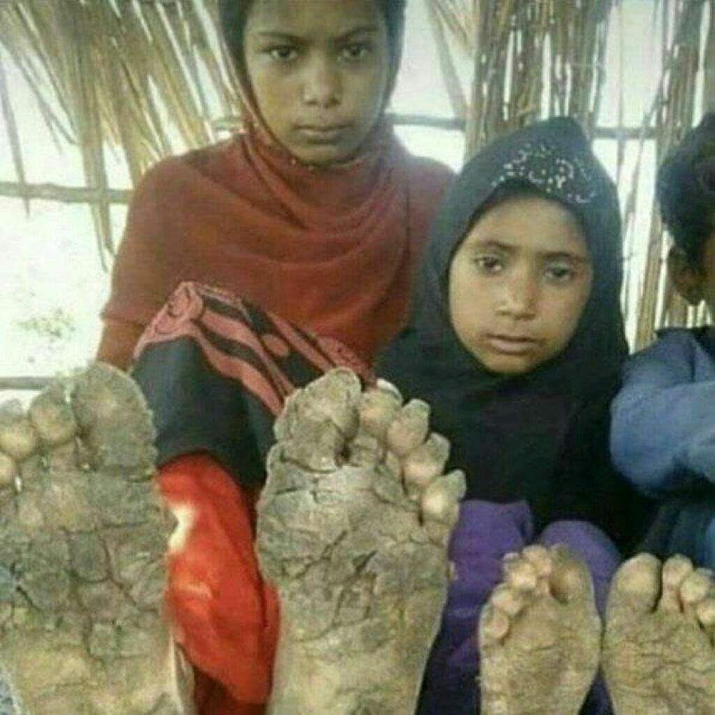 Asayesh(ملکه اجنه) tweet media