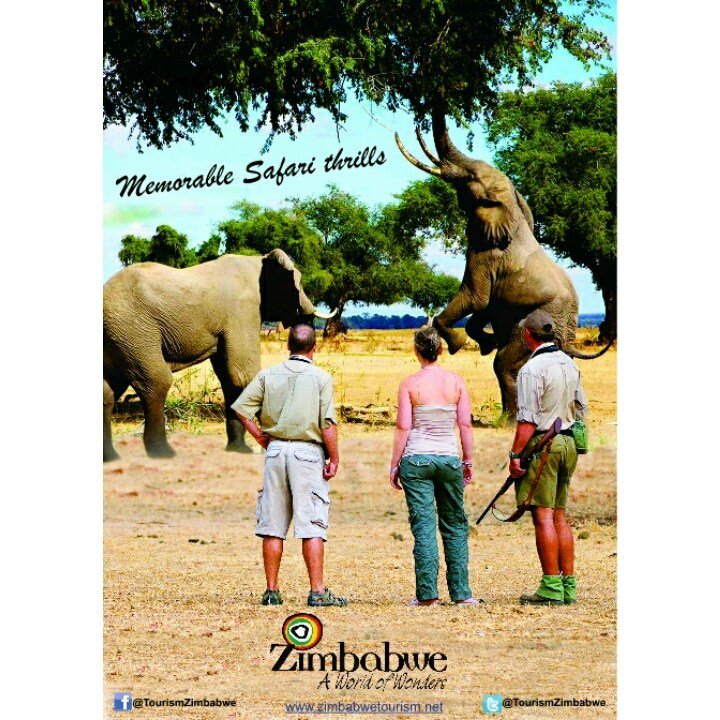 climateaccckf's tweet photo. Visit Zimbabwe https://t.co/UmReQVryf4 https://t.co/D5yX72LnIM