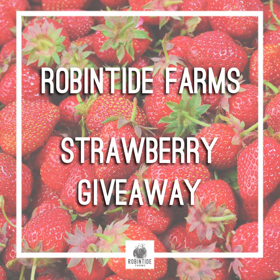 robintidefarms's tweet photo. ‼️🍓 GIVEAWAY ALERT 🍓‼️ Robintide Farms will be awarding ONE (1) lucky Farm Fan FREE #StrawberryPicking with any size container (up to 11 litres). 

HOW TO ENTER
1. FOLLOW @robintidefarms on Twitter
2. LIKE this post
3. RETWEET this post

#RobintideFarms https://t.co/9tNGGrp4qh