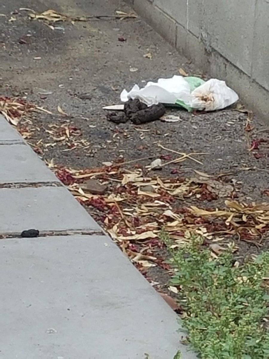 lucybell1918's tweet image. A real challenge to go out without seeing this anymore. Pretty soon we will have a poop app like  #SanFrancisco  @MayorOfLA  #CaliforniaFail #SFV