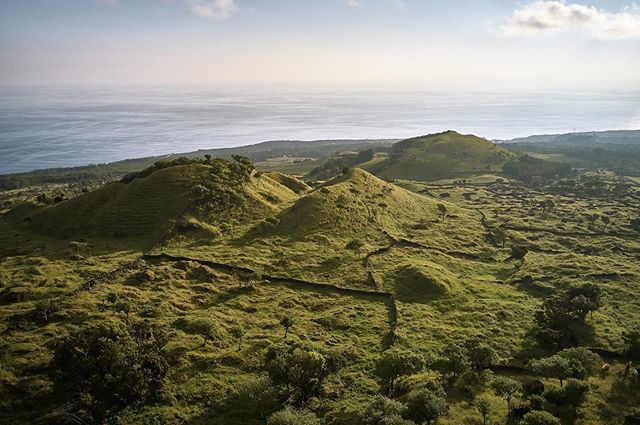 papedo's tweet photo. #azores #picoisland #azoreswhatelse #visitazores #patrickpapesch #dji #mavic2pro #aerial #drone @djiglobal #polarpro @polarpro #landscape #softlight #nature #travel #hiking https://t.co/MoQKEmHh90 https://t.co/j3LMzCjMy6