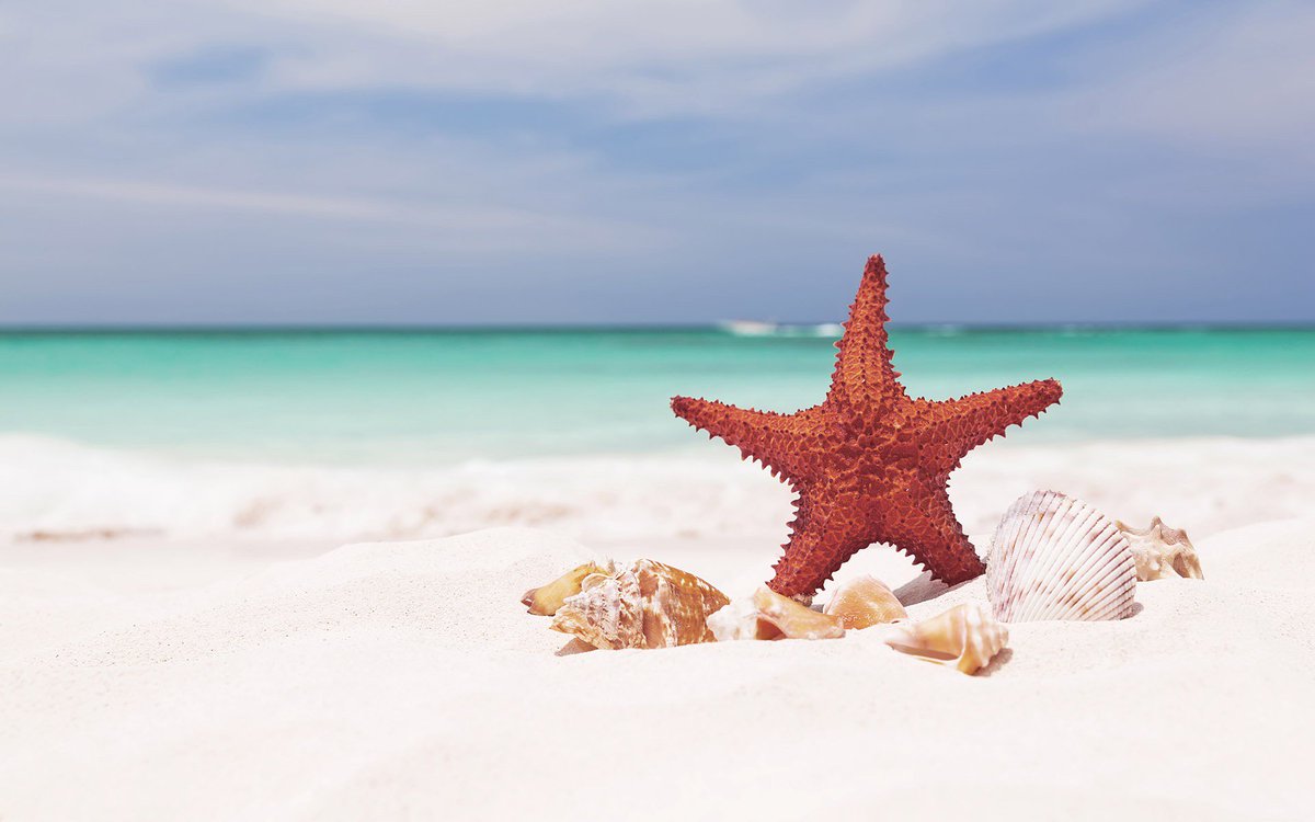 Het is volop zomer, tijd voor een deugddoende vakantie! Wij gaan er even tussenuit tot en met 4 augustus! Niet getreurd, onze website is er altijd om je te voorzien van voldoende inspiratie 😉 victorrenoveert.be #verbouwen #renoveren #betermeteentotaalaannemer