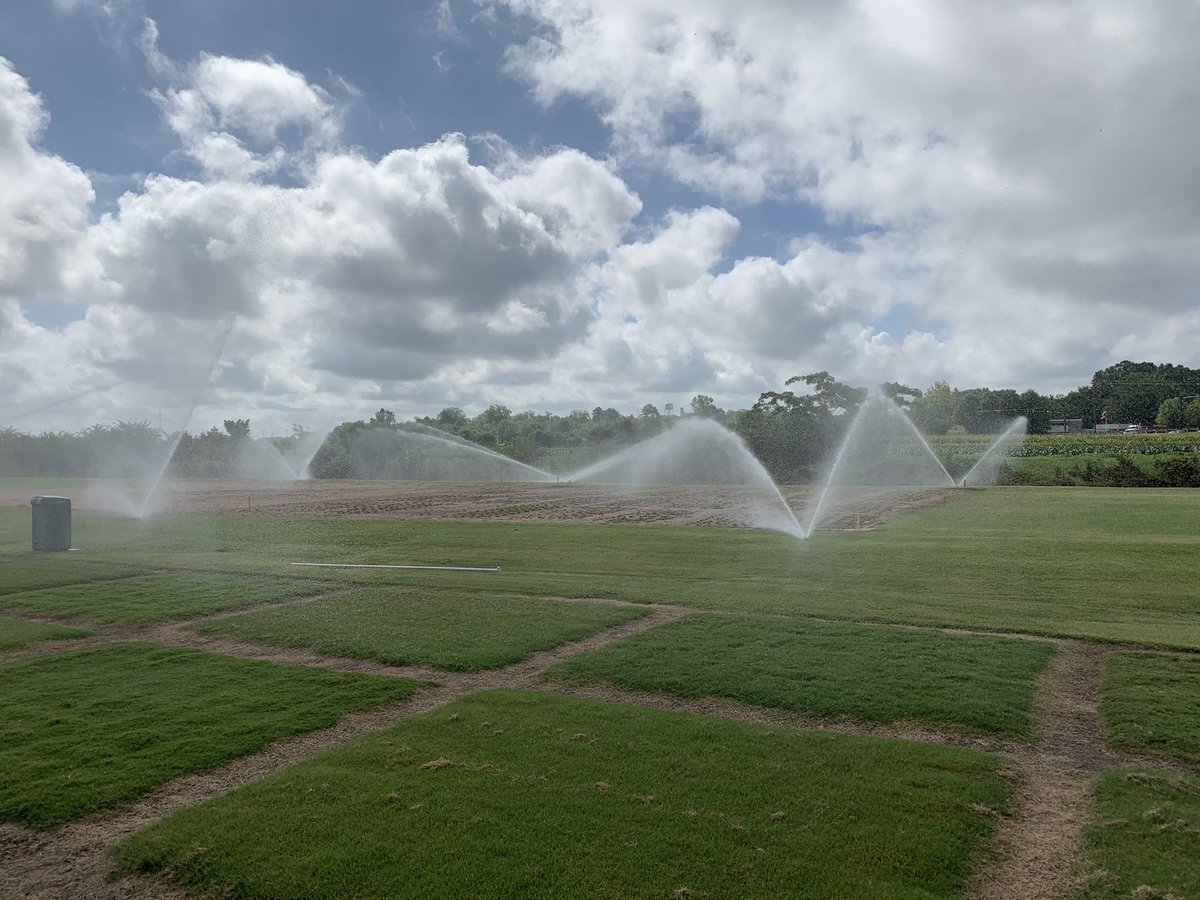 MTP (@maria_turfdr) on Twitter photo The 2019 NTEP zoysia, seashore paspalum, and bermudagrass trials are going in today at Mississippi State University <a href="/Drturfdirt/">Drturfdirt</a> <a href="/MSTurfgrass/">James D. McCurdy</a> <a href="/matt5carpenter/">Matt Carpenter</a> <a href="/MSU_AG/">MSU CALS/MAFES</a> <a href="/MSUExtService/">MSU Extension</a> <a href="/Wjr13Ruffin/">Jason Ruffin</a> and the rest! The 2019 NTEP zoysia, seashore paspalum, and bermudagrass trials are going in today at Mississippi State University <a href="/Drturfdirt/">Drturfdirt</a> <a href="/MSTurfgrass/">James D. McCurdy</a> <a href="/matt5carpenter/">Matt Carpenter</a> <a href="/MSU_AG/">MSU CALS/MAFES</a> <a href="/MSUExtService/">MSU Extension</a> <a href="/Wjr13Ruffin/">Jason Ruffin</a> and the rest!