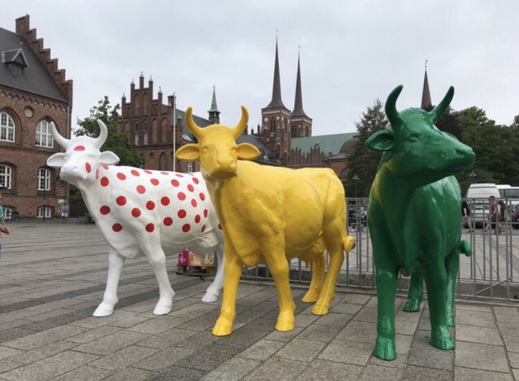 letourdk's tweet image. We cannot wait to host the first three stages of @LeTour in Denmark in 2021. The city of Roskilde is getting ready: During this years edition of TDF they have three beautifully painted cows greeting citizens and visitors on the main city square. 🚴‍♂️✌🏻@roskildekommune #ASO