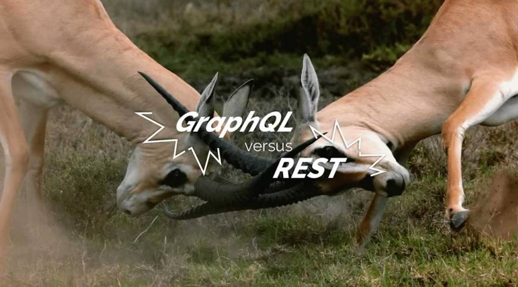 im_a_developer's tweet image. GraphQL vs REST: putting REST to rest

☞ ift.tt/2JuxAMC

#GraphQL #REST #Codequs #Morioh