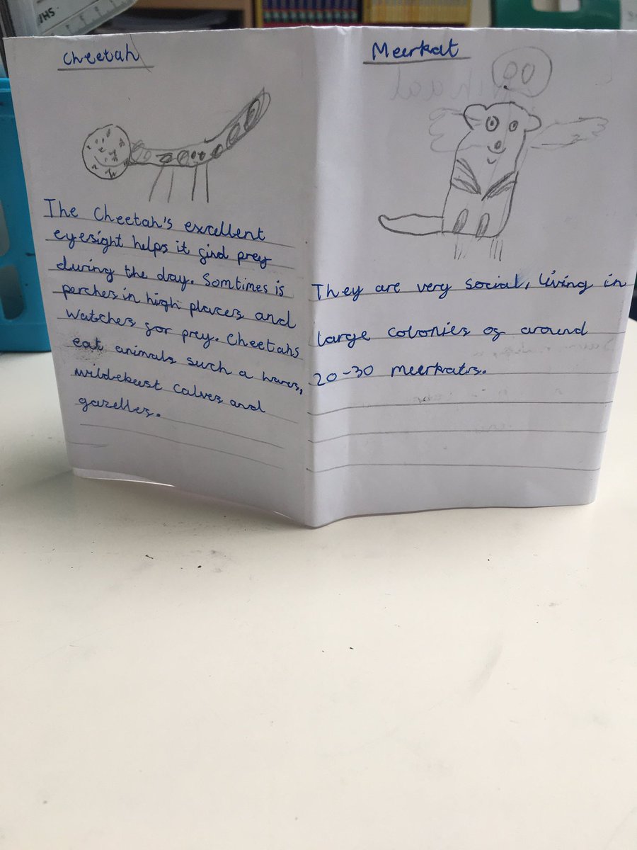 MrsArlowCTS's tweet photo. Amazing work from Hazel class this week @headcherrytree1 @CTS1_Watford #CTtheme https://t.co/R20e9MeLbt