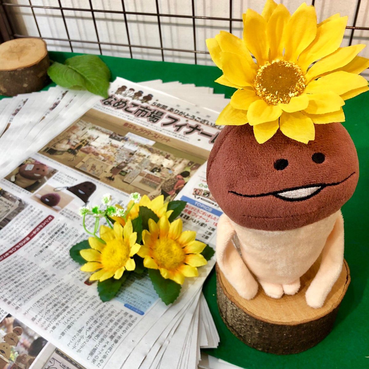 namekoichiba's tweet photo. 毎菌新聞7月号が到着しています。
一面はなめこ市場取材記事
なめこ好きスタッフたちが
思い出を語っています(⁎ᴗ͈ˬᴗ͈⁎)♡!!!
裏面のノベルティ一覧も
市場の歴史を物語る、通ってくだ
さった皆様が5年間を
楽しく振り返っていただける内容
です(*^ᴗ^(ᴗ<✱)🦋💎🦋💎🦋

#毎菌新聞 #nameko #5周年 https://t.co/RPOiNajuWf