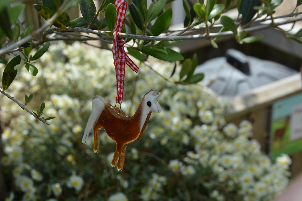 PeruvianThreads's tweet photo. We are loving our glass Llama decorations! 🦙

They are made locally on the #IsleofWight and are the perfect unique way to add a Llama into your home decor. 

Shop them in-store or online for full colour ranges. 

https://t.co/2UEgngQqmy

#etsy #handmade #glassllama #llama https://t.co/chrEzmiStO