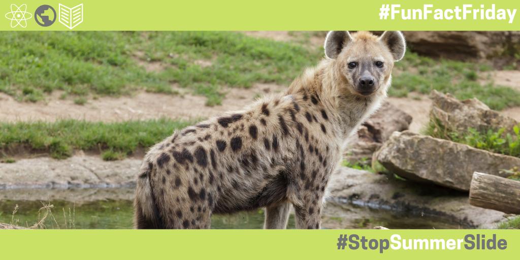 NYS Education Department on Twitter: "Happy #FunFactFriday! When