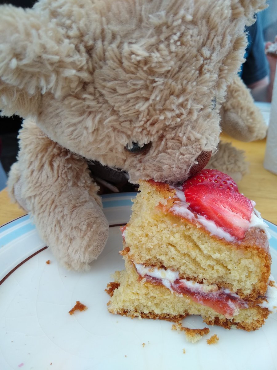 #cake #teddybearpicnic at last!! Yummy cake Boy1 #baking #GBBO future contender 🐻💕🍰