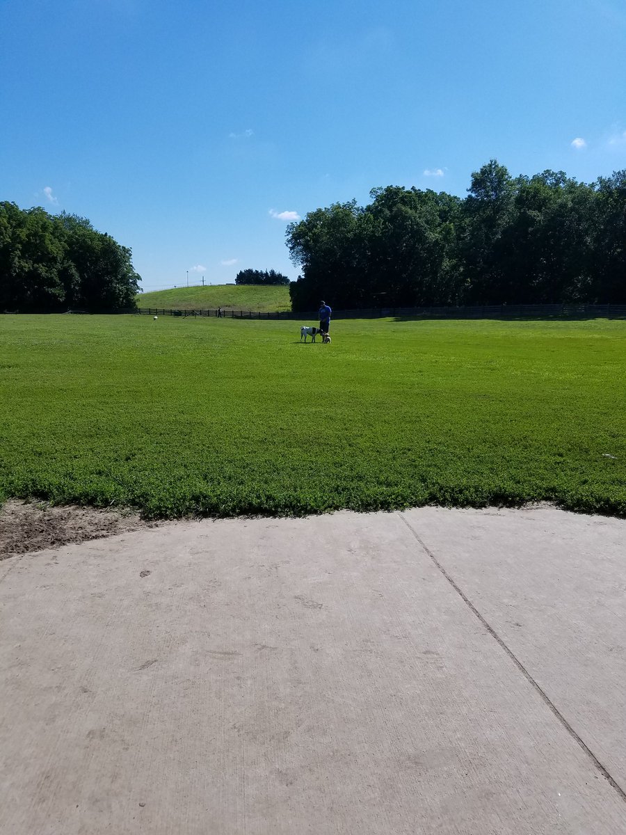 NeuroTips's tweet image. With the big fellas...