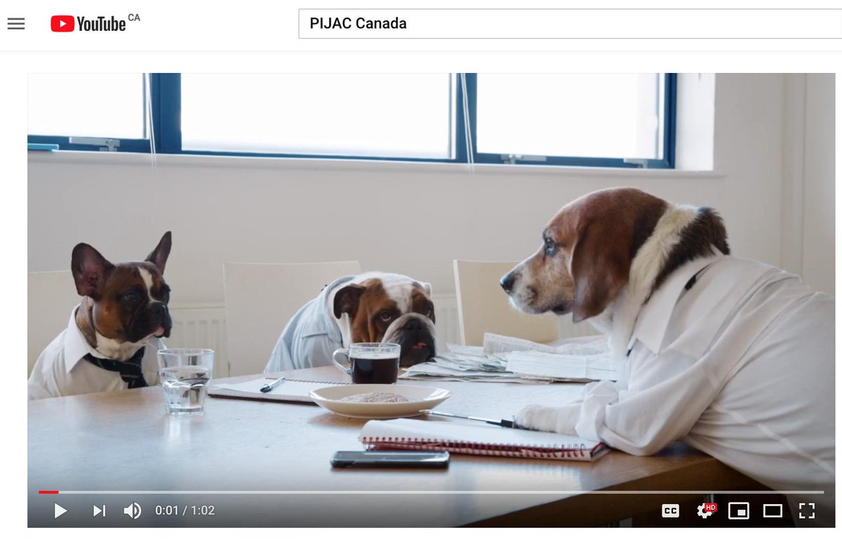 PetsCanadaorg's tweet image. We’ve done the work for you: We’ve built up a Quebec trade show that offers the widest variety and largest number of suppliers, under one roof. #EXPOZOO
VIEW #VIDEO ON OUR YOUTUBE CHANNEL #PIJACCANADA: youtube.com/watch?v=a1X1B5…