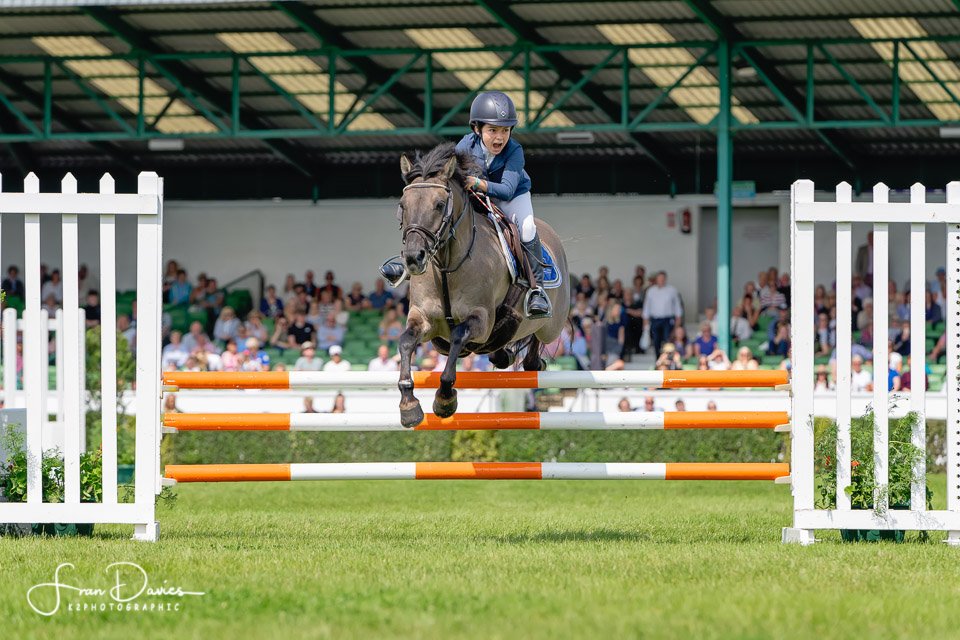 K2Photographic's tweet photo. Cock of the North Winner Richard Howley, plus activity from the last day of the Show @greatyorkshow #GYS #GYS2019 #countryside #rural #countryshow #agriculture @suregrowuk https://t.co/llROnLkZAF