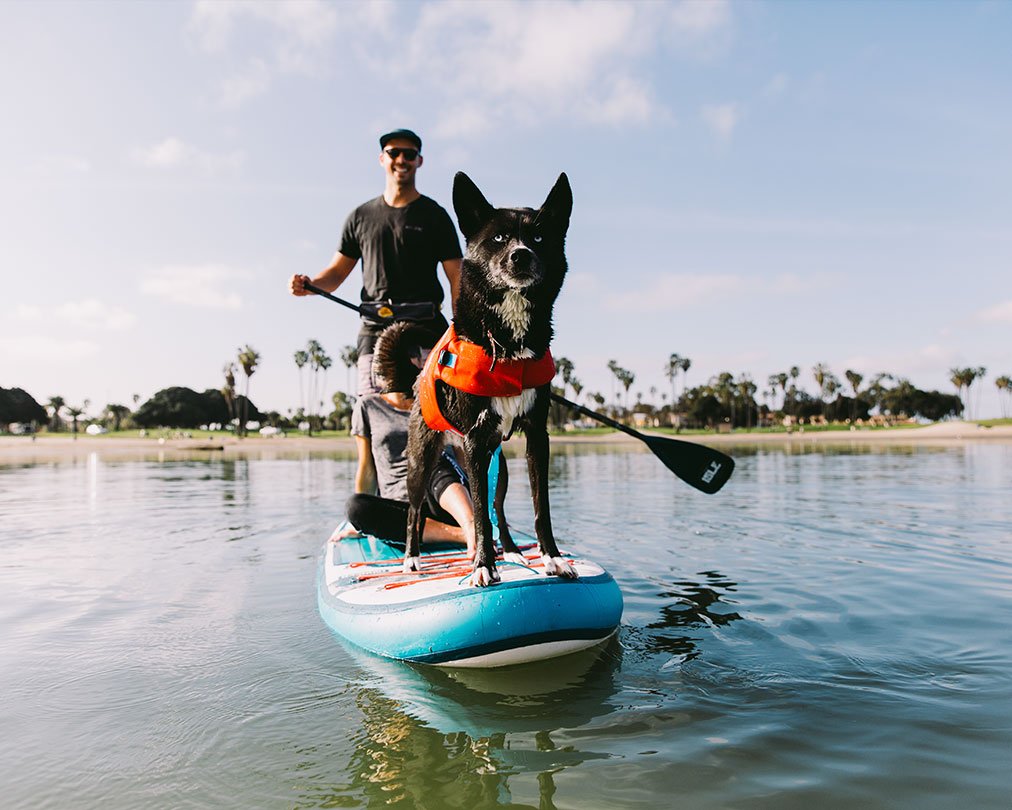 isleboards's tweet image. Ahoy Captain Seadog!
#ISLEsup #SUPpups #paddleboardingdogs