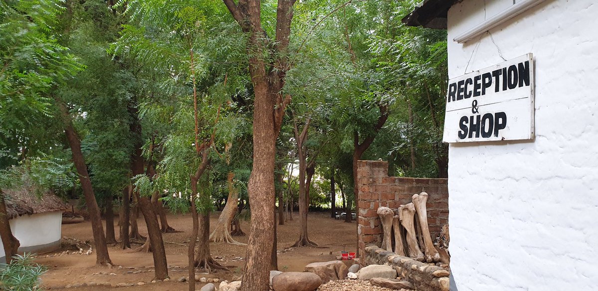 And finally home for tonight! There are rooms but we don't roll like that because we get to camp right by Murony River.