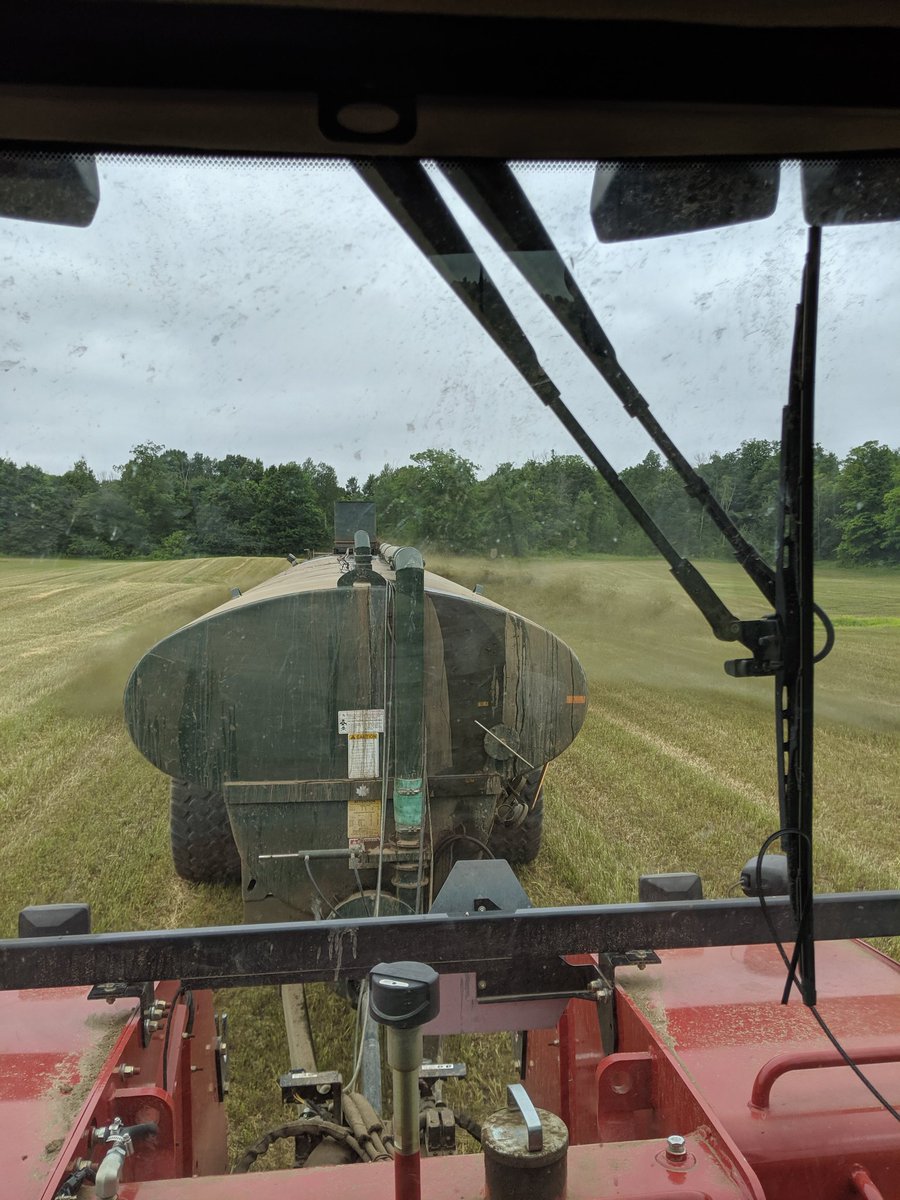 Feeding the hay!