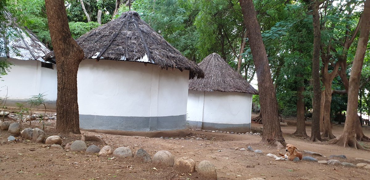 And finally home for tonight! There are rooms but we don't roll like that because we get to camp right by Murony River.