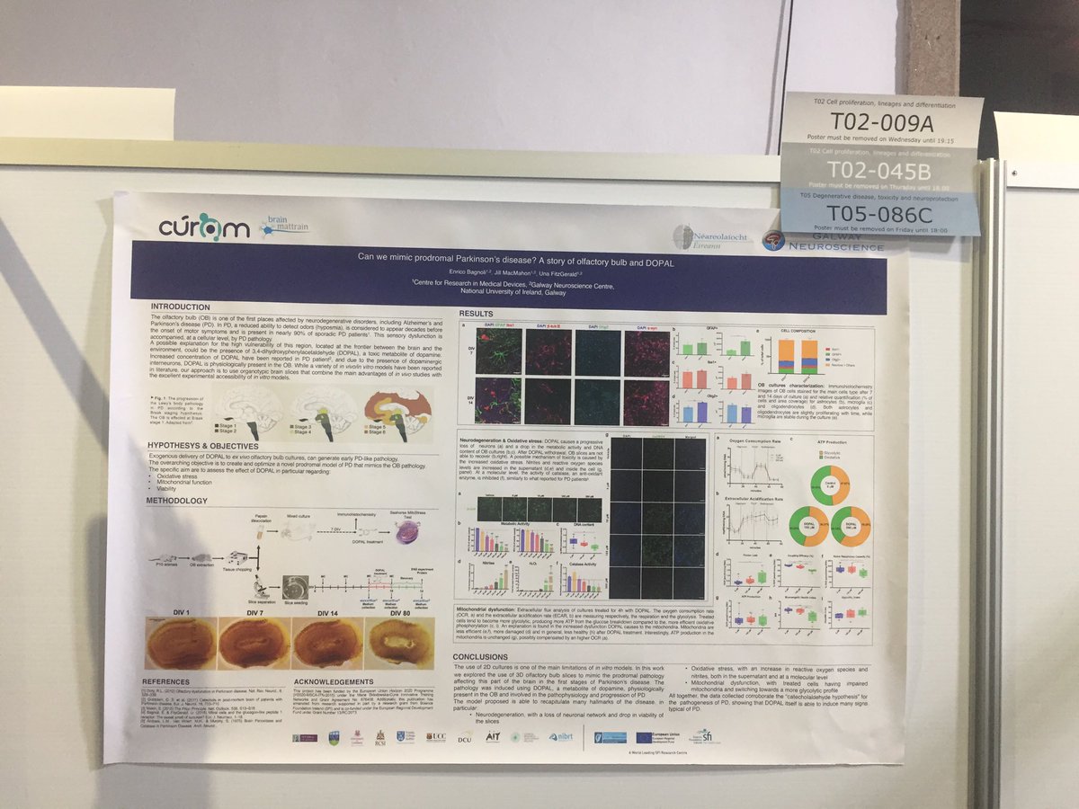 Great feedback and discussion presenting my work here #glia2019. Glad to have survived the heat and questions 🤓. If you still have doubts, email enrico.bagnoli@nuigalway.ie <a href="/BrainMatTrain/">BrainMatTrain</a> <a href="/NeuroscienceIRL/">Neuroscience Ireland</a> @NUIGNeuroCentre <a href="/CURAMdevices/">CÚRAM</a>