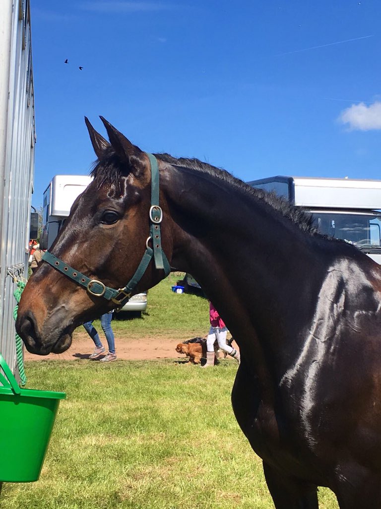 Jay Kane Eventing tweet media