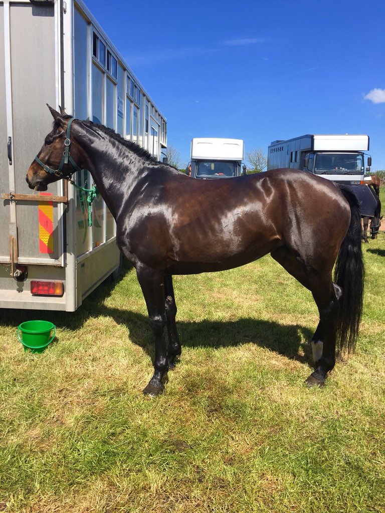 Jay Kane Eventing tweet media