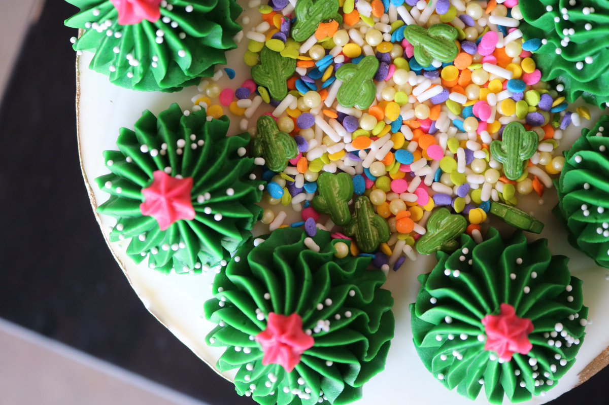 3sweetgirlscake's tweet photo. All about 🌵🌵🌵 cakes. This one is now available! #3sweetgirlscakery #cacticake #cactuscake #faultlinecake #cincinnaticakes https://t.co/1nsJZoZiBz