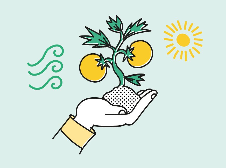 GEF_Europe's tweet photo. Want to know more about how we can reform our #agriculture to make our food fair & healthy?
Then sign-up for our online course, with fun & interactive content to get your teeth into! #GEFSummer
🍏https://t.co/7A2zIEIKnu https://t.co/qSDiNG8hJe