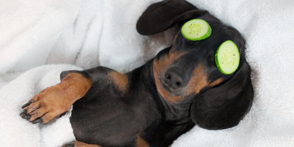 Boldentity's tweet image. What’s your favorite way to unwind after a long week of hard work? 
_
#DallasFun #Friyay #Branding