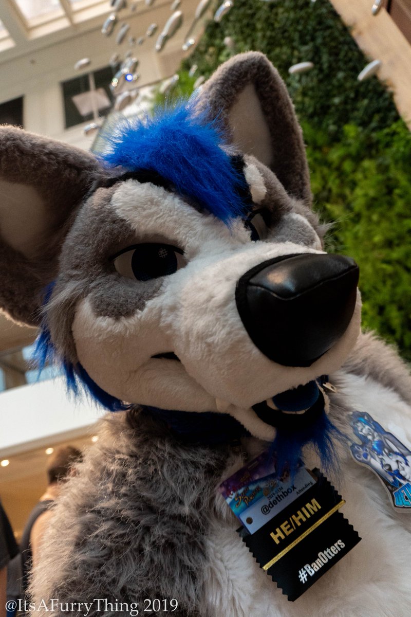ItsAFurryThing's tweet photo. Happy #FursuitFriday from #Anthrocon2019
Tag your friends if you see them!
#Fursuit #FurryFandom #Anthrocon https://t.co/eeijzrKYzL