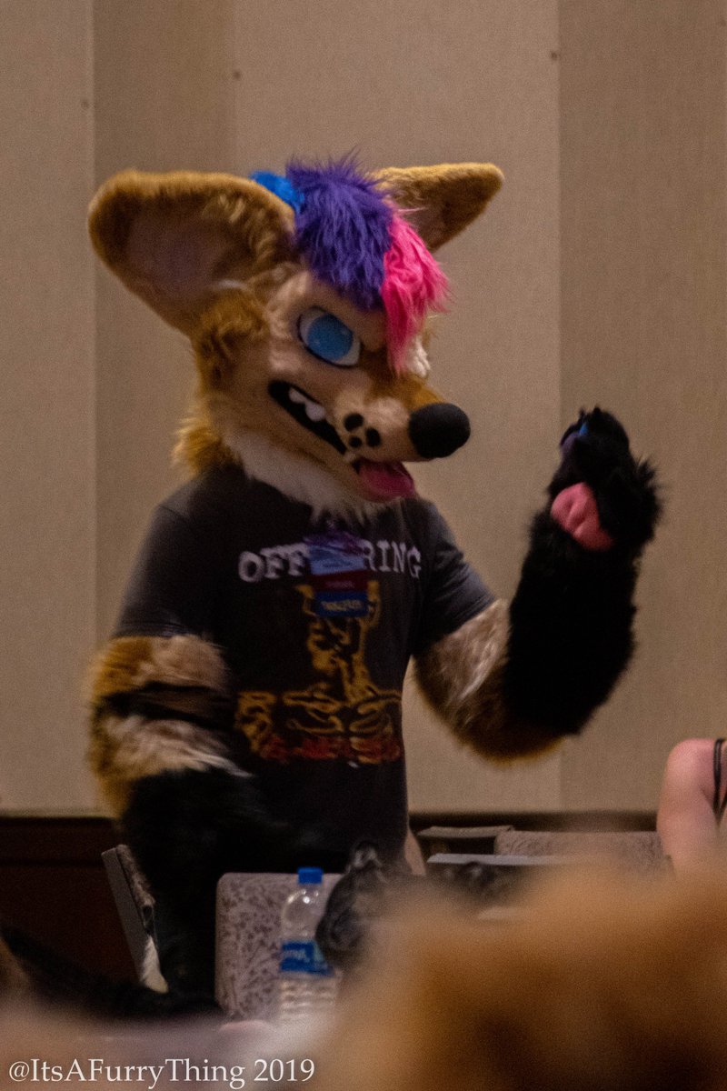 ItsAFurryThing's tweet photo. Happy #FursuitFriday from #Anthrocon2019
Tag your friends if you see them!
#Fursuit #FurryFandom #Anthrocon https://t.co/eeijzrKYzL