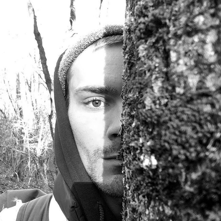 THE LINE of BEST FIT tweet media