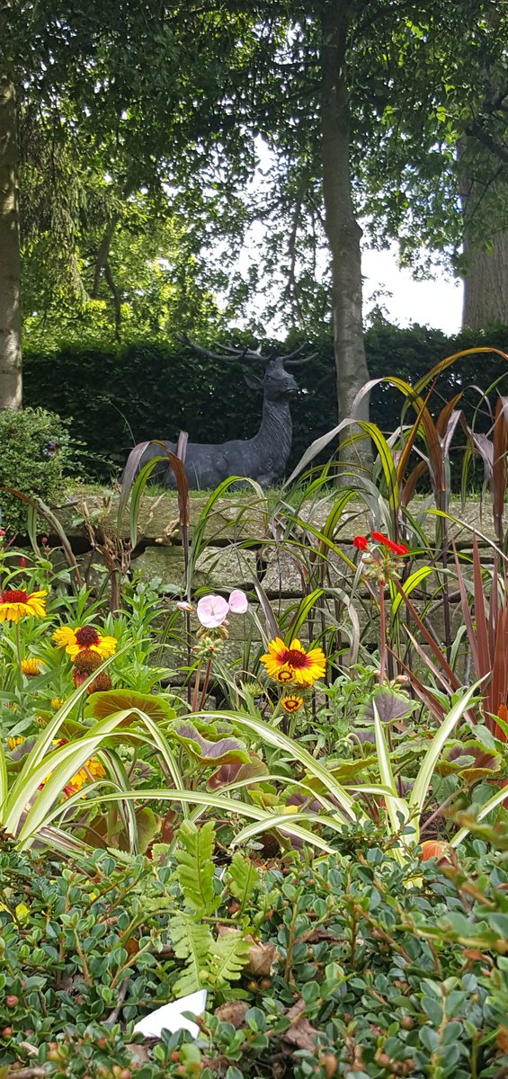 snoopysue71's tweet photo. A beautiful walk through the Quarry #Shrewsbury and The Dingle, Shrewsbury's Enchanted Garden 
#Colours #Happy 
 🍃🌸🍃 https://t.co/51uNtERMwu