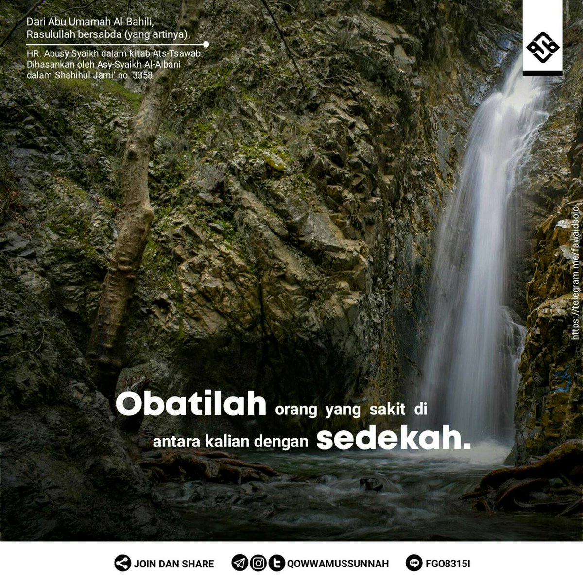 qowwamussunnah's tweet photo. OBATILAH DENGAN SEDEKAH
#obati #dengan #sedekah #sakit
#manhajsalaf
#syababsalafy
#salafy
Join : https://t.co/ks2v4PzdAE https://t.co/WoRcAtkgjg