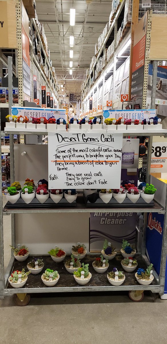 WBenabeCF's tweet photo. If you're looking for a gorgeous, easy-care houseplant get a Desert Gems.They are perfect for decorating desks and tabletops.  
They are real cacti.
Easy to grow.
The color don't Fade.
You can find them at your neighborhood Home Depot
@TerryThurst  @CherieVelez75 @bjryan3 https://t.co/KHDJ8tkHZm