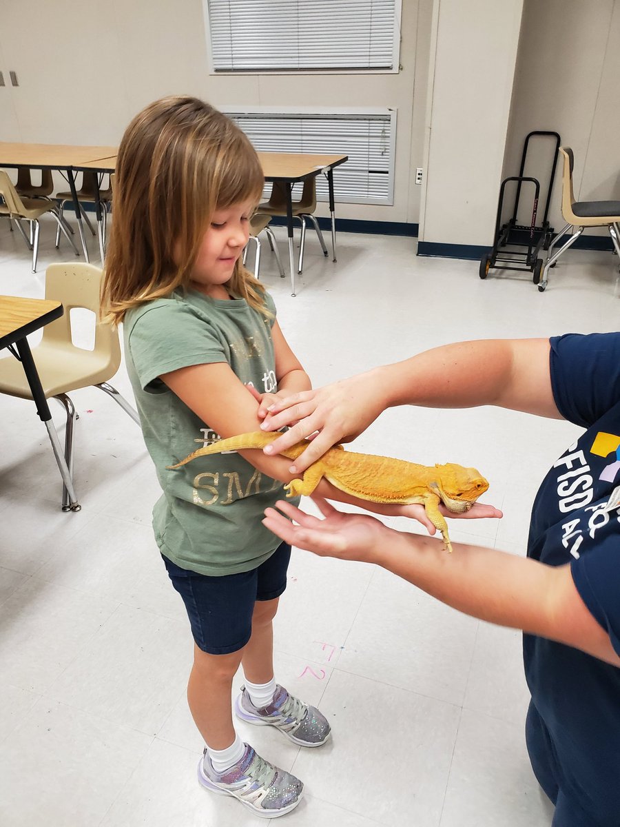 Danny Torres tweet media