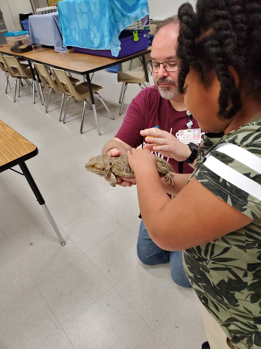 Danny Torres tweet media