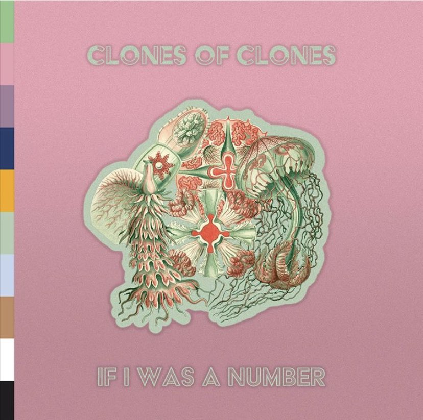 We just released a new single, “If I Was a Number” — available most places you can stream things! Give it a spin or 10, won’t you?? #NEWMUSICFRIDAY