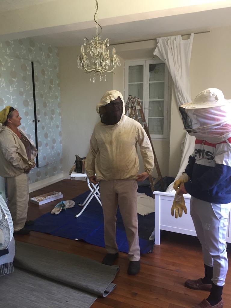 ProfW_edinsurg's tweet photo. Honey bees are protected in France and so a very nice lady beekeeper came to help us relocate a wild swarm from our bedroom to her hives this afternoon. No bees were hurt in the process 🐝🐝🐝🐝🐝🐝(or beekeeper assistants!) https://t.co/9gcZAAEIn7